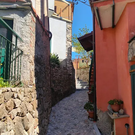 Tra Le Cinque Terre, Camogli E Portofino. Vista Valle E Scorcio Mare All'orizzonte ベッド・アンド・ブレックファスト