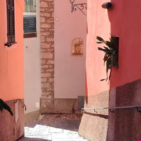 Tra Le Cinque Terre, Camogli E Portofino. Vista Valle E Scorcio Mare All'orizzonte
