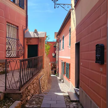 ベッド・アンド・ブレックファスト Tra Le Cinque Terre, Camogli E Portofino. Vista Valle E Scorcio Mare All'orizzonte *