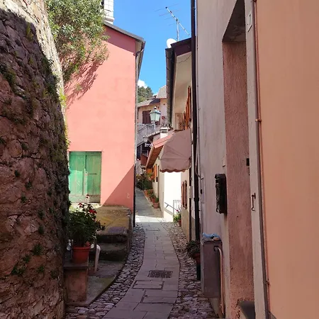 Tra Le Cinque Terre, Camogli E Portofino. Vista Valle E Scorcio Mare All'orizzonte