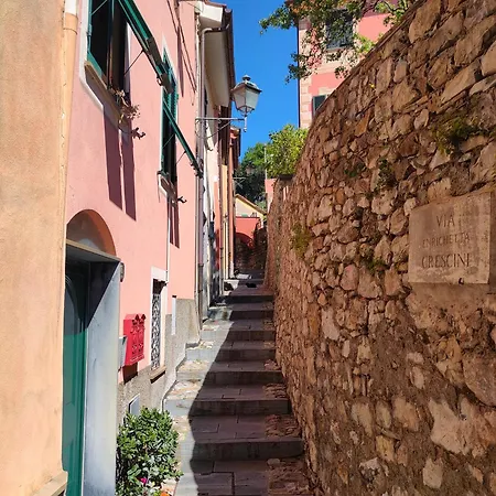 ベッド・アンド・ブレックファスト Tra Le Cinque Terre, Camogli E Portofino. Vista Valle E Scorcio Mare All'orizzonte