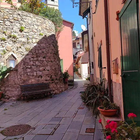 Tra Le Cinque Terre, Camogli E Portofino. Vista Valle E Scorcio Mare All'orizzonte 카스티글리오네 키아바레세