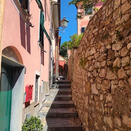 Tra Le Cinque Terre, Camogli E Portofino. Vista Valle E Scorcio Mare All'orizzonte * 카스티글리오네 키아바레세