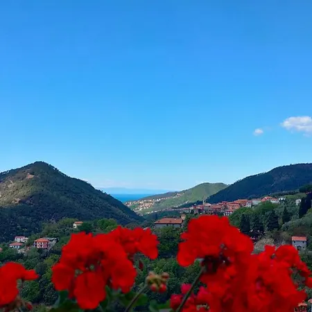 Tra Le Cinque Terre, Camogli E Portofino. Vista Valle E Scorcio Mare All'orizzonte Castiglione Chiavarese