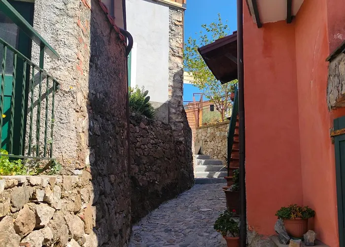 Tra Le Cinque Terre, Camogli E Portofino. Vista Valle E Scorcio Mare All'orizzonte Bed & Breakfast