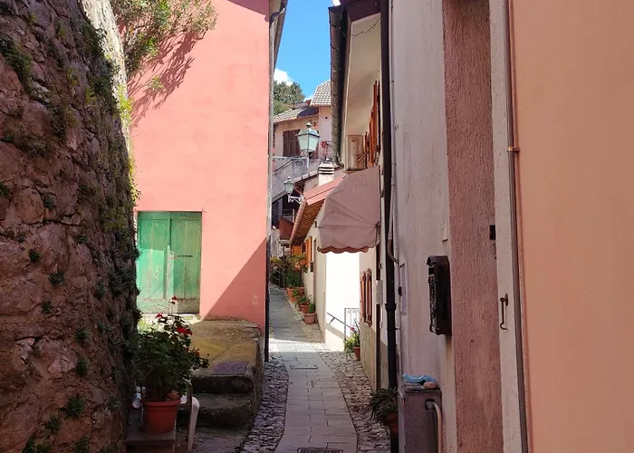 Tra Le Cinque Terre, Camogli E Portofino. Vista Valle E Scorcio Mare All'orizzonte