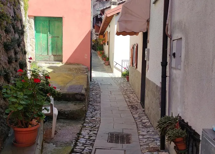 Tra Le Cinque Terre, Camogli E Portofino. Vista Valle E Scorcio Mare All'orizzonte Bed & Breakfast Castiglione Chiavarese