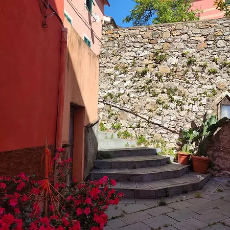 Tra Le Cinque Terre, Camogli E Portofino. Vista Valle E Scorcio Mare All'orizzonte