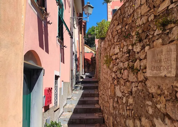 Bed & Breakfast Tra Le Cinque Terre, Camogli E Portofino. Vista Valle E Scorcio Mare All'orizzonte